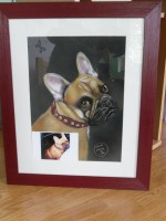 /album/galerie-photos/photo-820-jpg/